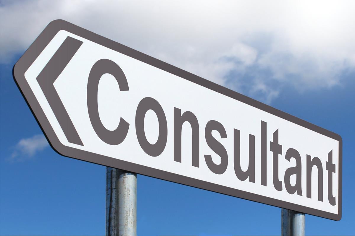 e-commerce consultant